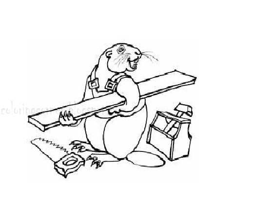 Printable Beaver Coloring Page Sketch Coloring Page